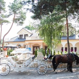 Restauracja-Hotel Korona - Sale weselne