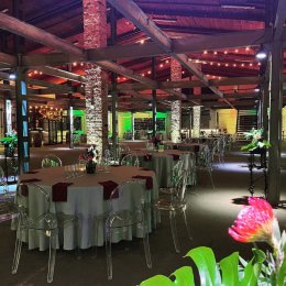 Waldorffa 25 - Sale weselne