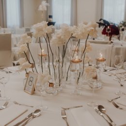 Hotel Arche - Sale weselne