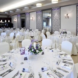 Castor - Sale weselne