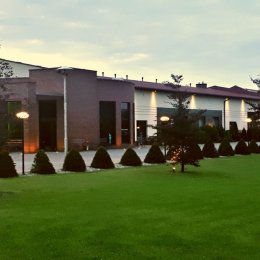 Enigma - Sale weselne