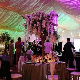 Dwór Leśce - Sale weselne