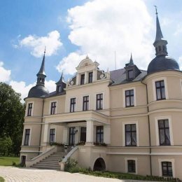 Pałac w Orli - Sale weselne