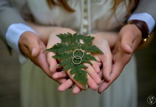 STR Studio - Rafał Dzierba