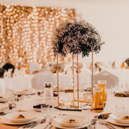 Hotel Księżyc - Sale weselne