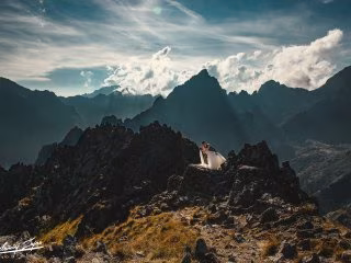 Bartłomiej Zając Fotograf