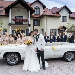 Dom weselny Magnat - Sale weselne