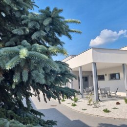 SilverMoon - Sale weselne