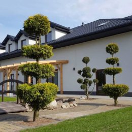 Dom Weselny Antalia - Sale weselne