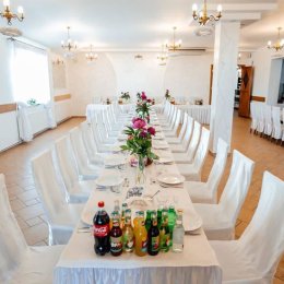 Dom Weselny "SYLWIA" - Sale weselne