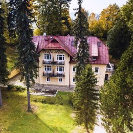 Willa Alfa - Sale weselne