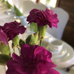 Ośrodek Wypoczynkowy Wrzos - Sale weselne