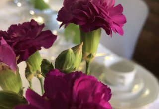 Ośrodek Wypoczynkowy Wrzos