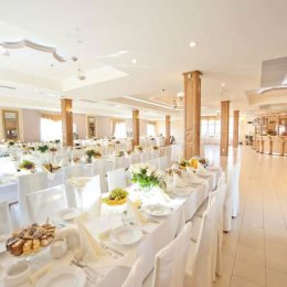 Wesele pod Kasztanami - Sale weselne