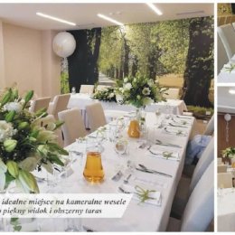 Hotel Wielspin - Sale weselne