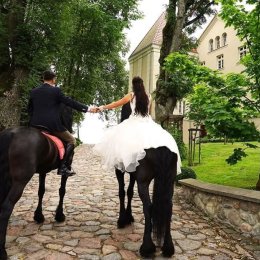 Pałac Pacółtowo - wynajem na wyłączność - Sale weselne