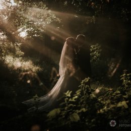 Studio Fotowideoart - Kamerzysta na wesele