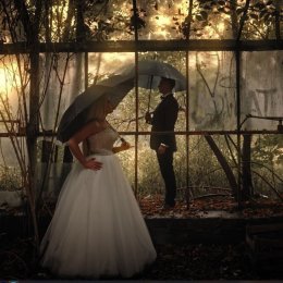 Intense Colour Kamil Sputo - Kamerzysta na wesele