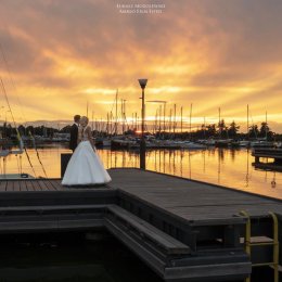 Amigo Film Foto - Kamerzysta na wesele