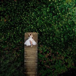 Treephoto - fotografia - Konrad Żurawski - Fotograf ślubny