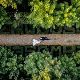 waldemaRak Foto & Video - Fotograf ślubny