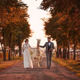 PhotoJezierscy videofilmowanie i fotografia - Kamerzysta na wesele