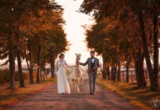 PhotoJezierscy videofilmowanie i fotografia