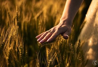 MS Videos Maciej Suchan