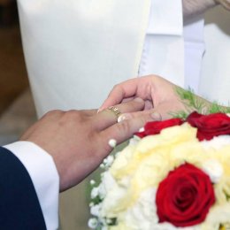 Video Foto Studio FOCUS - Kamerzysta na wesele