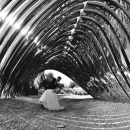 Art-Vinci - Fotograf ślubny