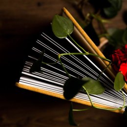 Udane Wesele - Fotografia ślubna - Fotograf ślubny