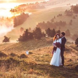 Best Movie Film - Kamerzysta na wesele