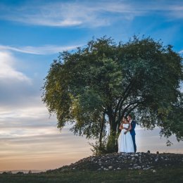Marek Mazurczak FILM - Kamerzysta na wesele