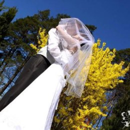 Studio Krzysztof Grohs Vide&Foto - Kamerzysta na wesele