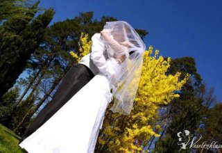 Studio Krzysztof Grohs Vide&Foto