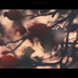 Oko Kaczki - Mateusz Niedośpiał - Kamerzysta na wesele