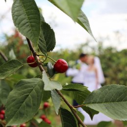 Mar-Dar Video&Foto - Kamerzysta na wesele