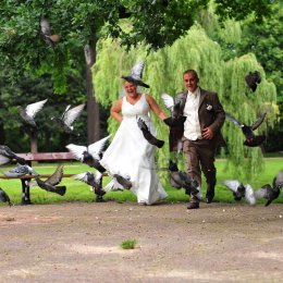 Ale piękny film  ze ślubu to nasza specjalność ! - Kamerzysta na wesele