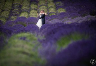 AnMa Studio - Wedding Photography &  Wedding film