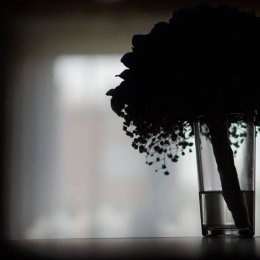 PROfilmowcy - EKIPA FILMOWA I FOTOGRAF - Kamerzysta na wesele