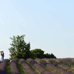 Quadro - Film Ślubny - Kamerzysta na wesele