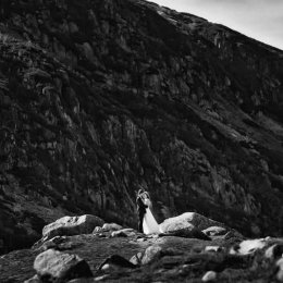 Grzegorz Tworek Fotografia - Love Story <3 - Fotograf ślubny