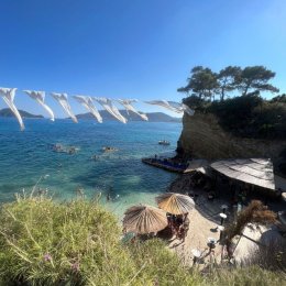 Produkcje filmowe  Andrzej Piątek - Kamerzysta na wesele