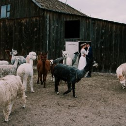 lustrzana.photography ZATRZYMUJEMY W KADRACH MIŁOŚĆ ! - Fotograf ślubny