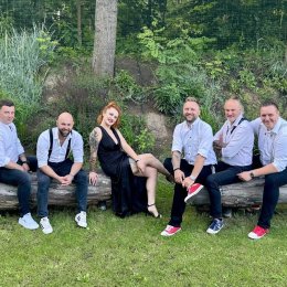 Kormorany - Oprawa muzyczna