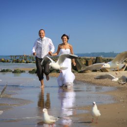 Fotografia Ślubna - Wideofilmowanie Ujęcia z drona | 4K | - Fotograf ślubny