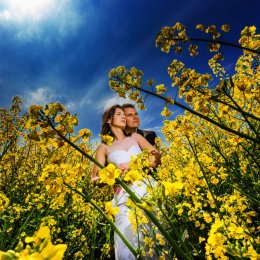 Wojciech Śwircz Fotografia - Fotograf ślubny