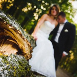 DamianBerezaFotografia - Fotograf ślubny