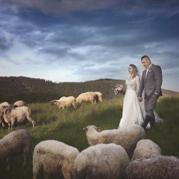 WIDZĘ CIĘ Katarzyna Serafin-Ciupek - Fotograf ślubny