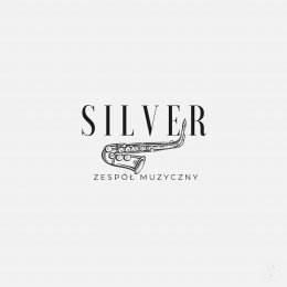 Zespół Silver - Oprawa muzyczna